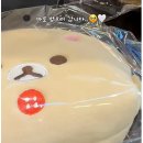 (주)상상초월 | 8,500원인데 퀄리티가 상상초월, CGV 리락쿠마 파우치 구매 꿀팁 + 리얼 후기