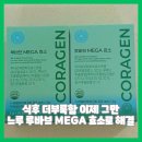주식회사 공생 | 식후 더부룩함 이제 그만 느루 루바브 MEGA 효소로 해결했어요