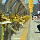 진도군 기록관 이미지