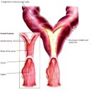 24시알파동물메디컬센터 이미지
