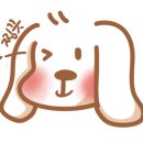 코지피어싱