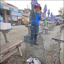 말봉바다낚시터 이미지