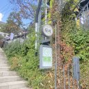 예쁨중DOG 이미지