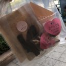 옴속옴속 이미지