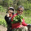 기명농장 이미지