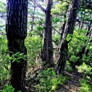 경북 영양 일월산《일월산농·특산물직판장주차장~선녀암(굿당)~선녀탕~강림골~일자봉(해맞이공원)~윗대티마을~오솔길~단풍교》gpx [참고용] 이미지