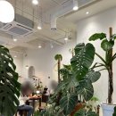 갈매카페거리 이미지