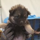 당북초등학교 이미지