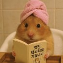 가희슈퍼 | 나의 12월을 환영해 🐰🤍