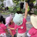 수잔나어린이집 이미지