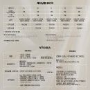 일주동로 | [ep.04] 제주스냅 선택 후기 | 분좋사 찾기 위한 엄청난 써치를 통해 선별한..🌳✨ “웜우드 스냅” 선택...