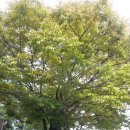 대천공원 입구 이미지