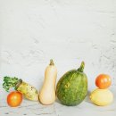 유기농라이프 이미지