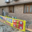 서울복어식당 | 강릉 복어 맛집 국물이 시원한 복지리탕 - 모닥불 식당 후기