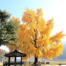 신당리 마을회관 이미지