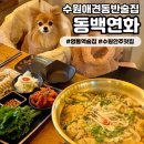 연화분식 | [동백연화 영통역본점] 영통역 술집 저녁에 방문하기 좋은 수원애견동반식당 추천