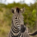 충남대학교 대학원 이미지