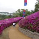 [군포.수리산] - 철쭉동산.초막골생태공원. 이미지