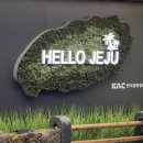 빠마롤 | 자 이제 하반기 시작 (큰일났네;;;