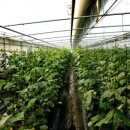 오이축산 이미지