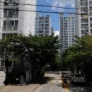 송라약국 이미지