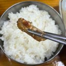 부촌식당 | 제주 성산읍 갈치조림 맛집 부촌식당 후기 ㅡ 성게미역국 정식 개맛도리