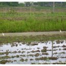 이성규농장 이미지