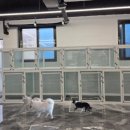 하동동물병원 이미지