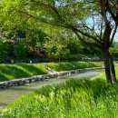 영기축사 이미지