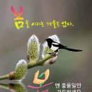 제 257- 82 제천 미인봉 산행결산 이미지