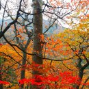 설악산태극종주 62km~ 눈보라, 비바람, 우박을 넘어 동해까지~~ 이미지