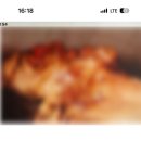 타조투어