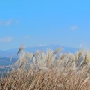 정물 | 정물오름 (제주도 오름 31): 제주 서쪽오름 추천