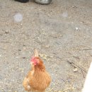 지인농장 이미지