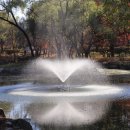 희망분수 이미지