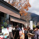 다뽑아가라 | 후쿠오카 버스투어 얼리 유후인 코스 다유벳 내돈내산 후기 여행 초보에게 찐 추천