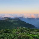 샘물식당 이미지