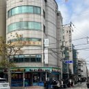 생선파는고양이 | [합정] ‘바다회사랑 서교점’ 웨이팅 후기🐟, 고양이 있는 카페 ‘디스코플래닛’