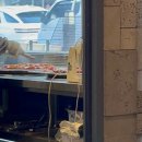 대동집구미인동점 | 구미 진평맛집 고기집 숯불에닭 구미인동점 방문후기