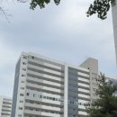 강서구 등촌주공 단지별 분석 임장 후기 #1 -2,3,5단지
