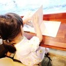 마리누스 어린이 수영장 이미지