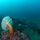 (주)이포인트 이미지