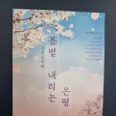 은평문화예술회관 공연장 | 은평구 공연 전시 대관 및 종합문화공간 은평문화예술회관 방문후기