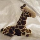 신기방기 이미지