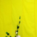 동양꽃꽂이 이미지