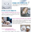 댕댕사우나 이미지