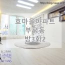 나누리청과 이미지