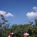 참마음유치원 이미지