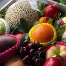 싱싱청과 이미지