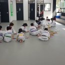 태현태권도장 이미지